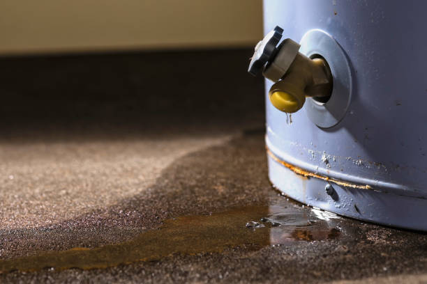 Best Water damage restoration near me  in Moss Point, MS