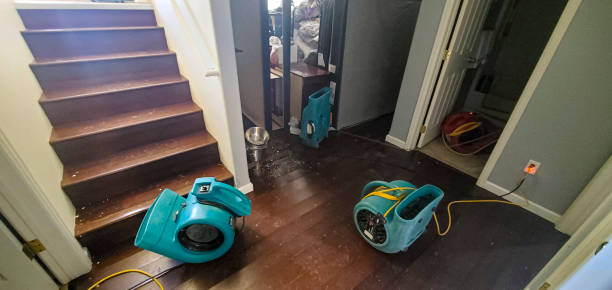 Water damage restoration process in Moss Point, MS