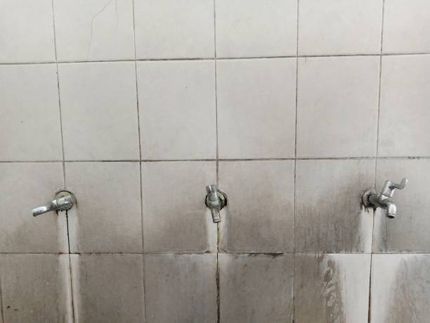 Trusted Moss Point, MS Water damage restoration Experts