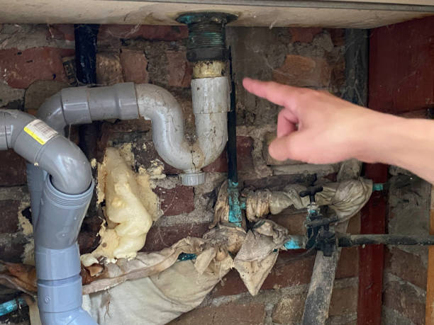 Best Water damage restoration cost  in Moss Point, MS